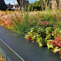 Extensive Dachbegrünung von Thomas Urbach Dachtechnik